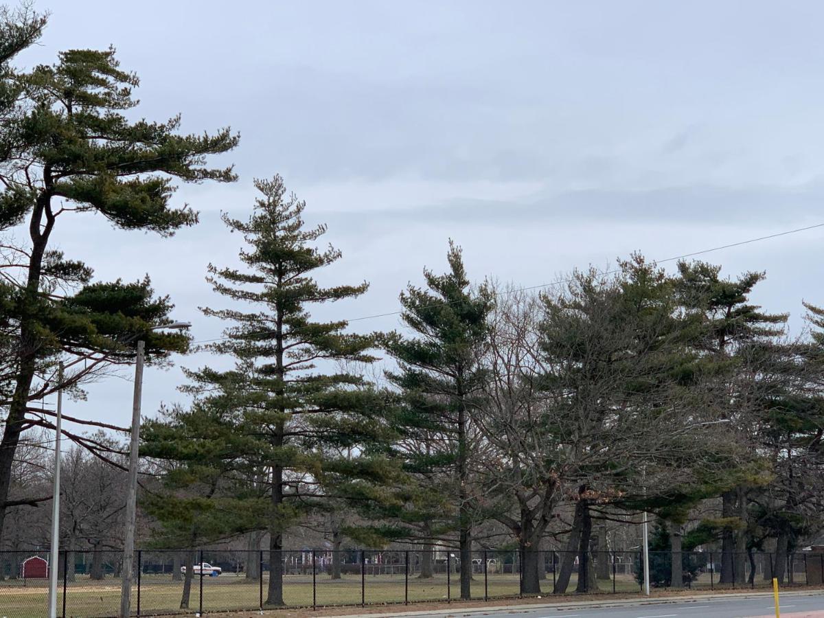 Coliseum Inn & Suites - Garden City Long Island East Meadow Eksteriør billede